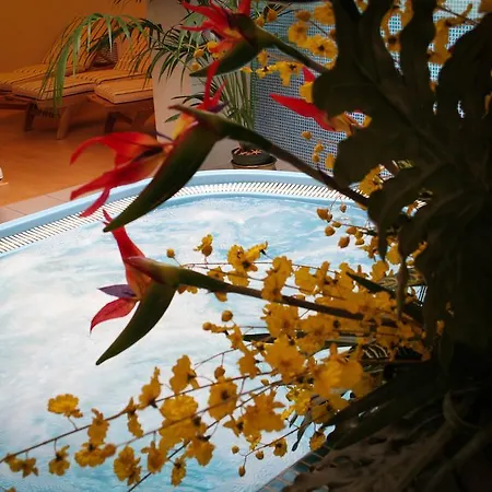 Grand La Pace (adults Only) ホテル